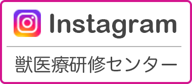 Instagram 獣医療研修センター