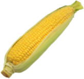 野菜装飾